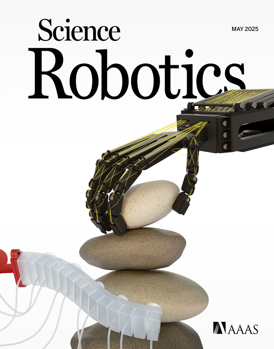 SciRobotics's tweet image. This month&apos;s special issue of Science #Robotics highlights embodied intelligence.

The cover depicts a human-inspired robotic hand with dexterous manipulation and an octopus-inspired arm with intelligent suckers. Read more: scim.ag/4j3mfAO