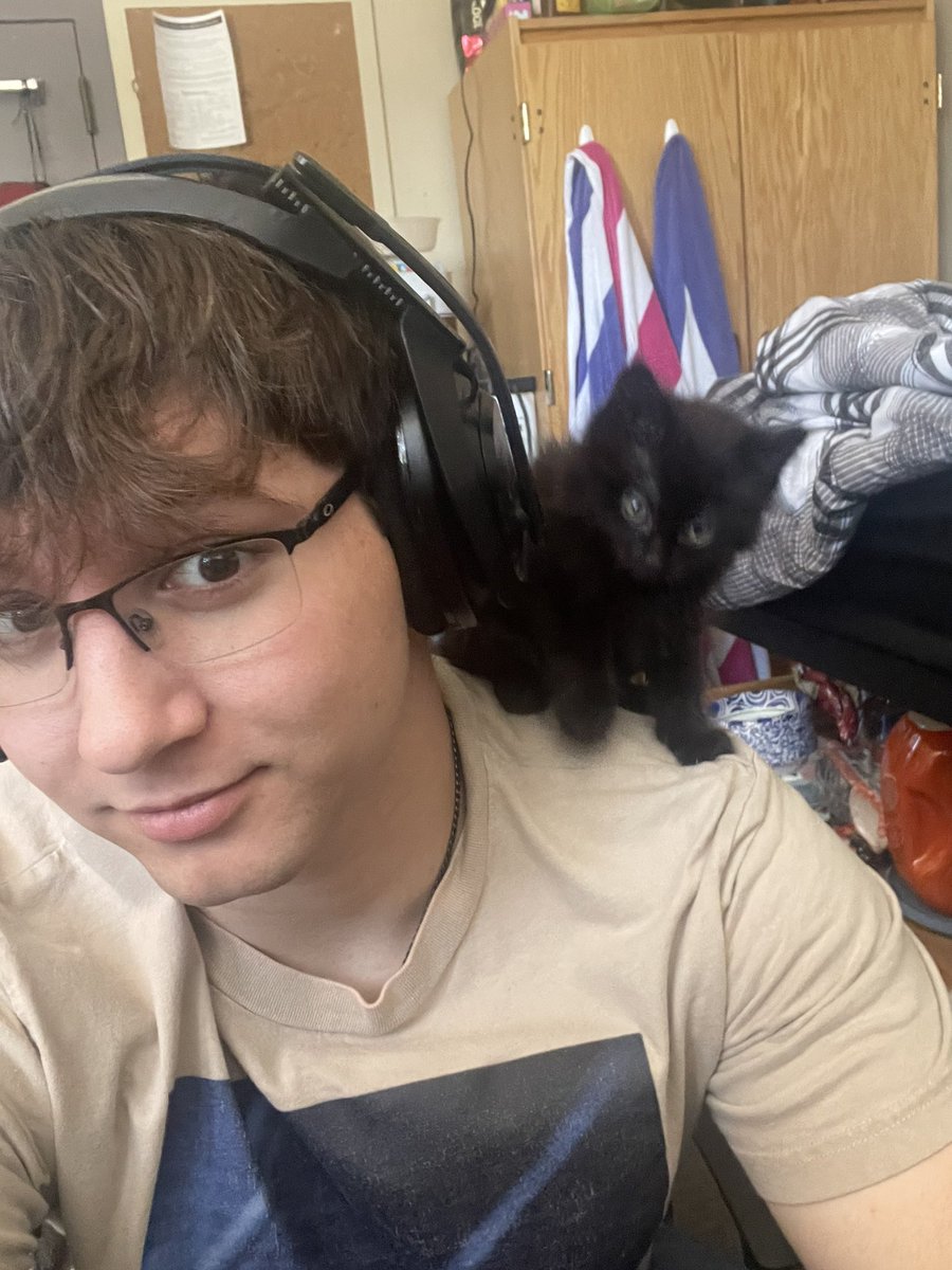 Splitx (@splitx_) on Twitter photo New gaming buddy!
#kitten #gaming #CallofDuty #twitch New gaming buddy!
#kitten #gaming #CallofDuty #twitch