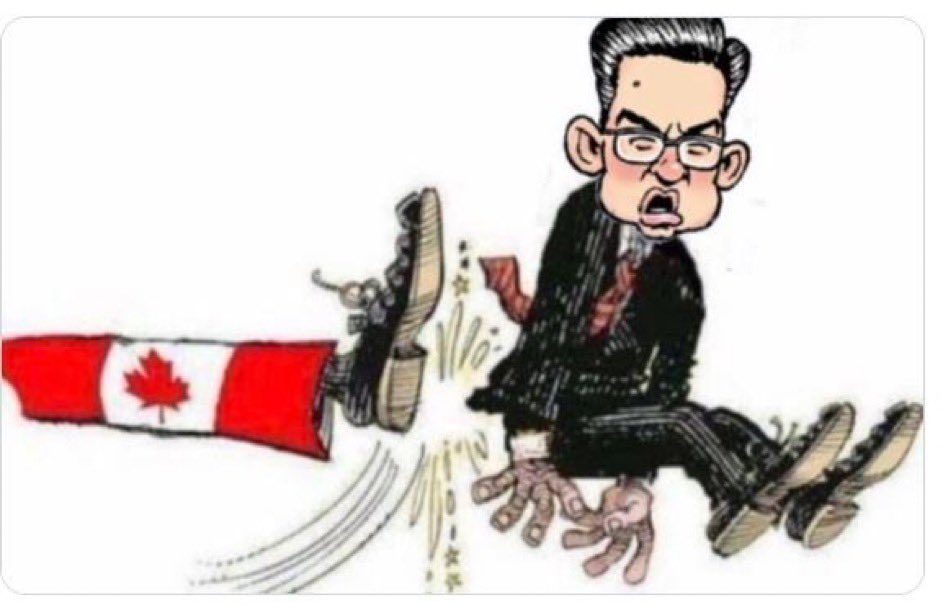 TheMapleMountie's tweet photo. @Jayde8700 your hear breaks for a career politician who hasn’t held an honest job his entire life? #NeverPoilievre #TimbitTrump https://t.co/yxPxs5bJyz