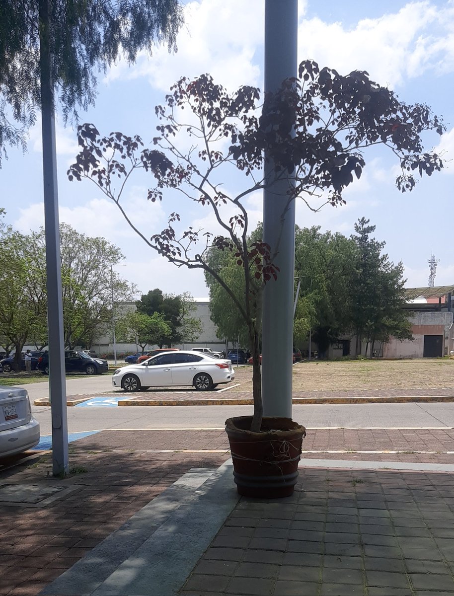 _Sweet_Dennys's tweet image. Esperando...