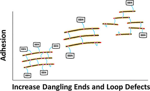 🚨New Paper!!🚨

Brandon worked with <a href="/Katsumata_R_/">Reika Katsumata</a> , <a href="/aljcrosby/">Al Crosby</a>, and the Watkins Group to both develop novel pressure sensitive adhesives via a unique, defect-driven design!!

doi.org/10.1021/acsami…