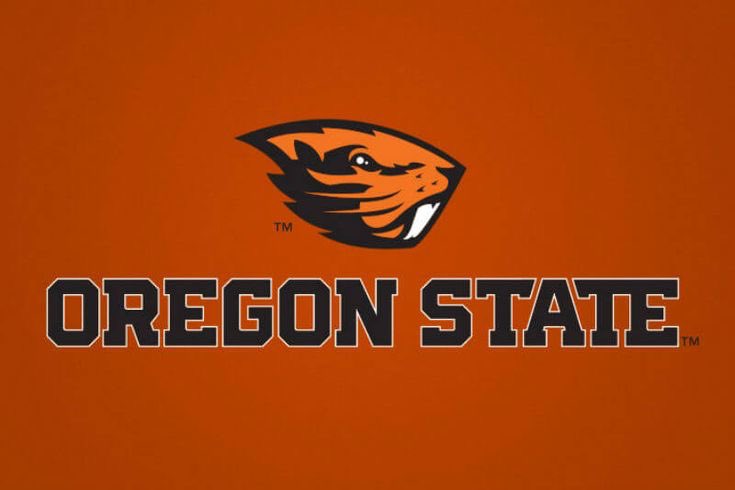 Carterkuttinup's tweet image. Blessed to receive an offer from Oregon State University #Gobeavs🦫@BeaverFootball @CoachAJCoop
@JGonzalesJr10 @HokaHeyFootball @CoachKirkMartin @MrCoachRob @TFloss32