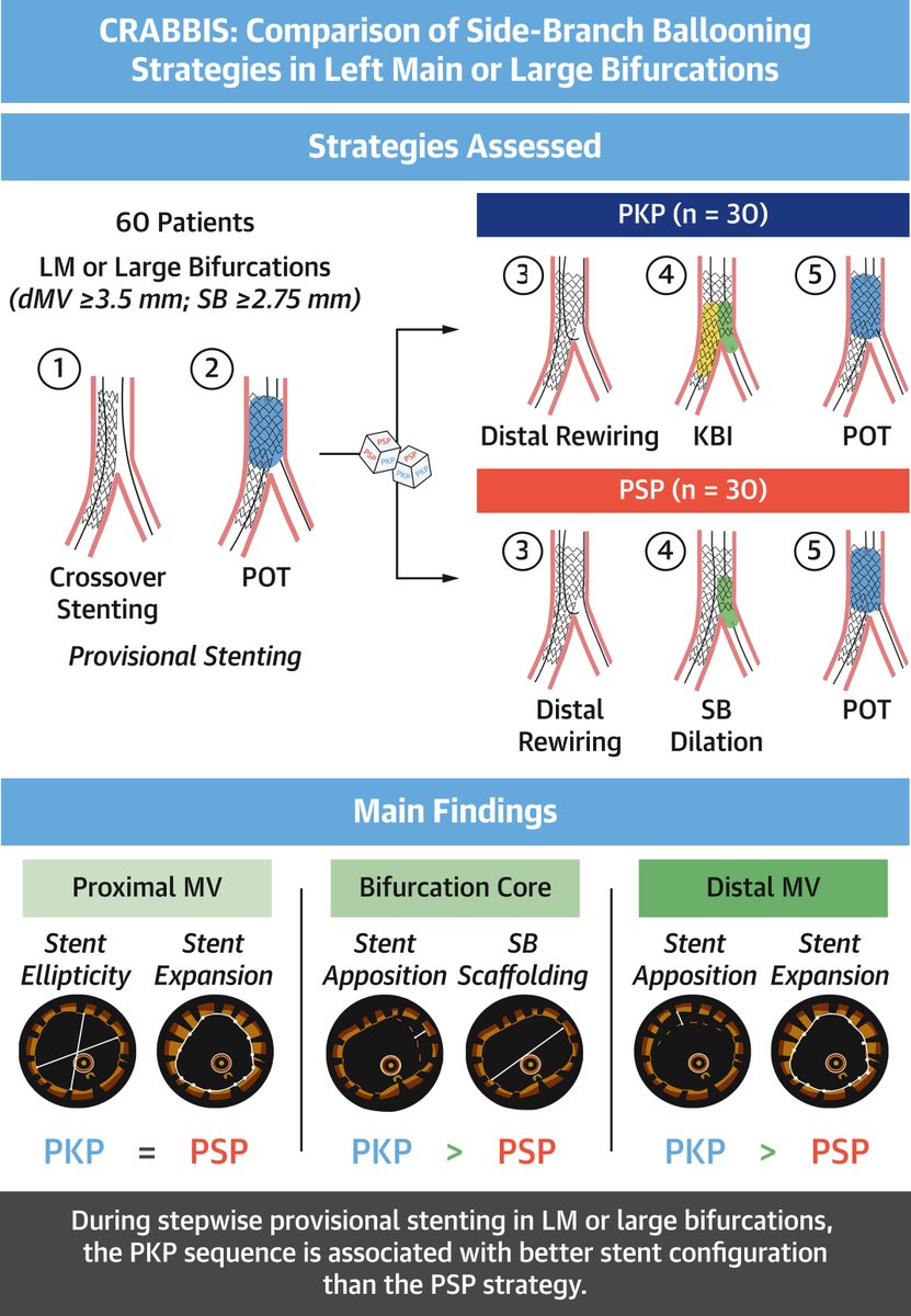 JACC Journals (@jaccjournals) on Twitter photo 🚨 New in #JACCINT: In bifurcation #PCI, proximal optimization + kissing balloon + final POT (PKP) outperforms proximal optimization + side branch dilation + final POT (PSP) with better stent expansion & apposition! 📊 jacc.org/doi/10.1016/j.…
#CRABBIS #cvImaging <a href="/BURZOTTA_F/">FRANCESCO BURZOTTA</a> 🚨 New in #JACCINT: In bifurcation #PCI, proximal optimization + kissing balloon + final POT (PKP) outperforms proximal optimization + side branch dilation + final POT (PSP) with better stent expansion & apposition! 📊 jacc.org/doi/10.1016/j.…
#CRABBIS #cvImaging <a href="/BURZOTTA_F/">FRANCESCO BURZOTTA</a>