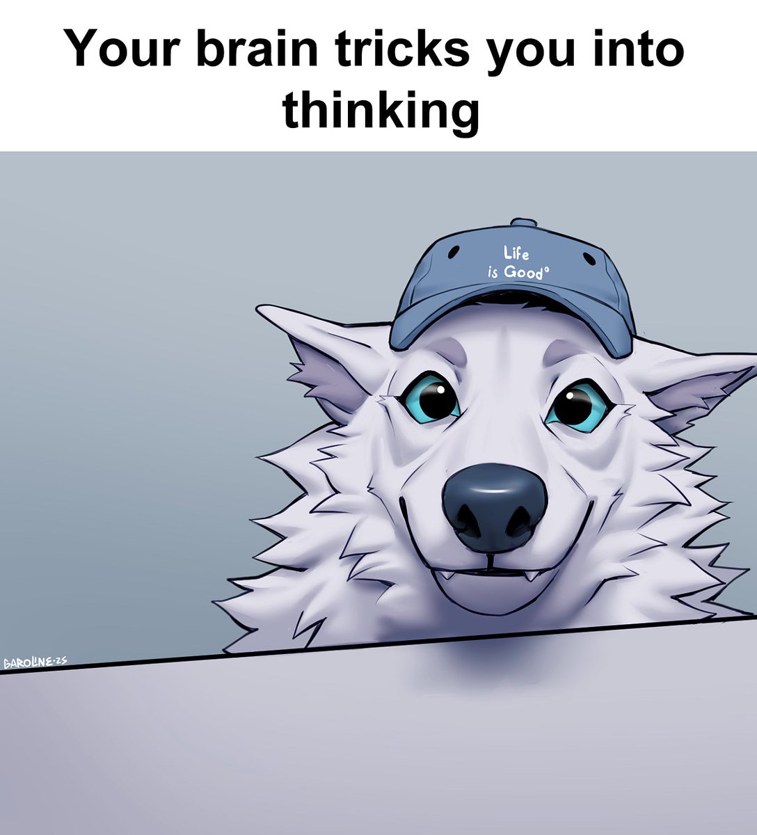 have you seen this wolp