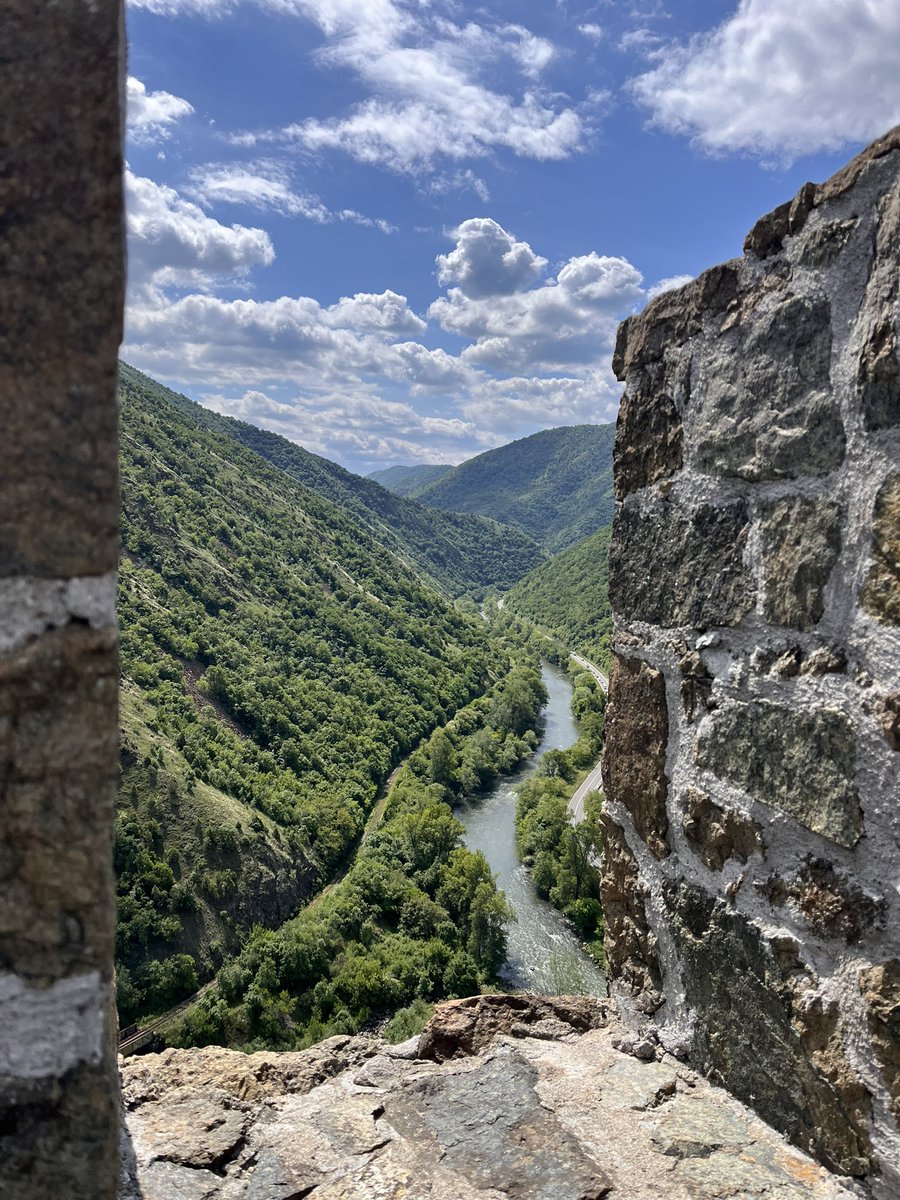 Мiroђијa🌿 tweet media