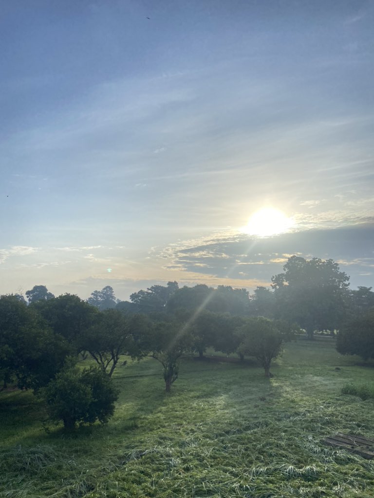 larry🌙 tweet media