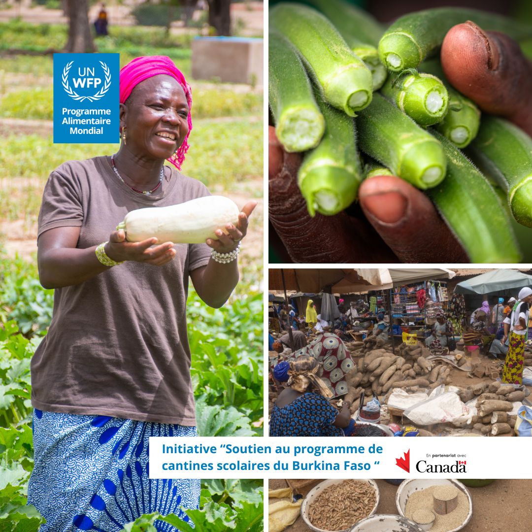 WFP au Burkina Faso (@wfp_burkinafaso) on Twitter photo Les cantines scolaires basées sur la production locale ont permis d'augmenter les revenus des petits producteurs. #CantinesScolaires #BurkinaFaso #AgricultureDurable <a href="/CanadaDev/">Development Canada</a> <a href="/CanEmbBFA/">Canada in BFA</a> Les cantines scolaires basées sur la production locale ont permis d'augmenter les revenus des petits producteurs. #CantinesScolaires #BurkinaFaso #AgricultureDurable <a href="/CanadaDev/">Development Canada</a> <a href="/CanEmbBFA/">Canada in BFA</a>