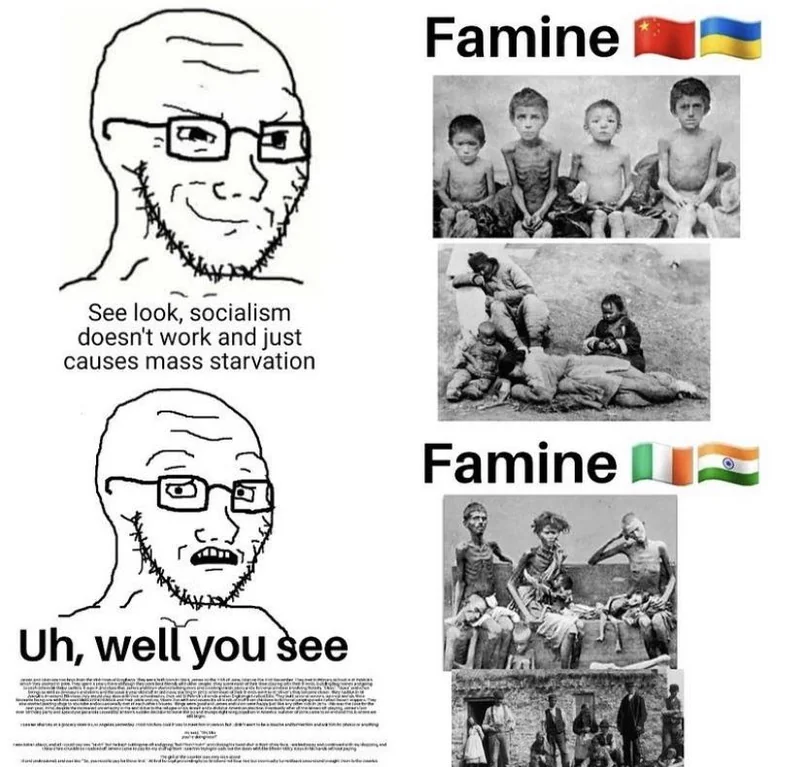 ⭐ 𝙿𝚊𝚖𝚙𝚑𝚕𝚎𝚝𝚜 ⭐ tweet media