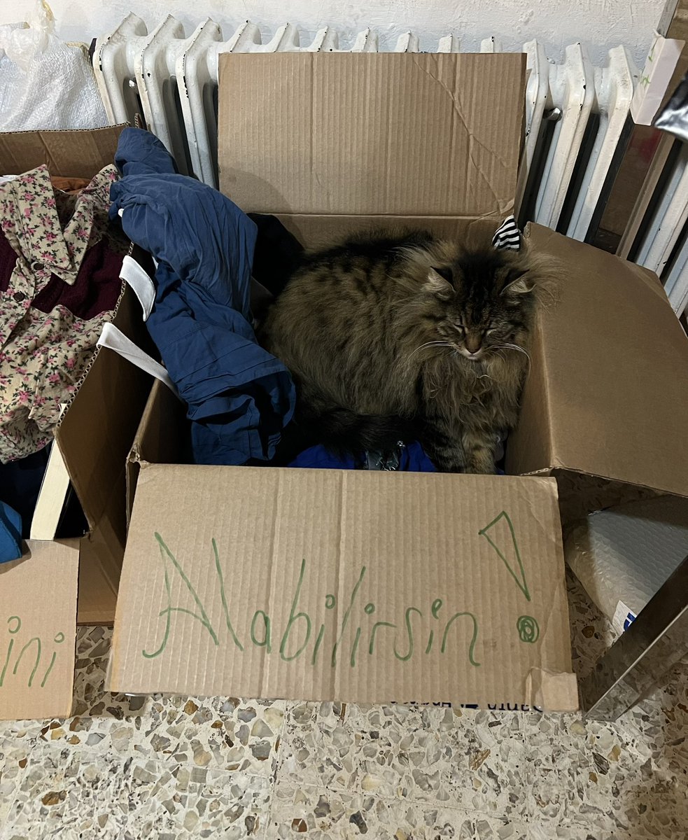 Aldım teşekkürler