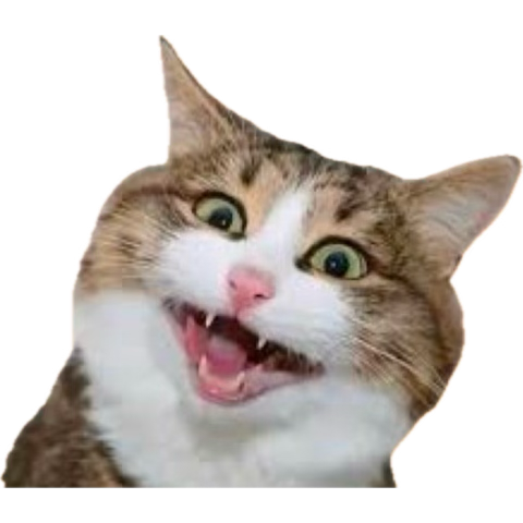 مريم'صاحبة الظل القصير‏ tweet media