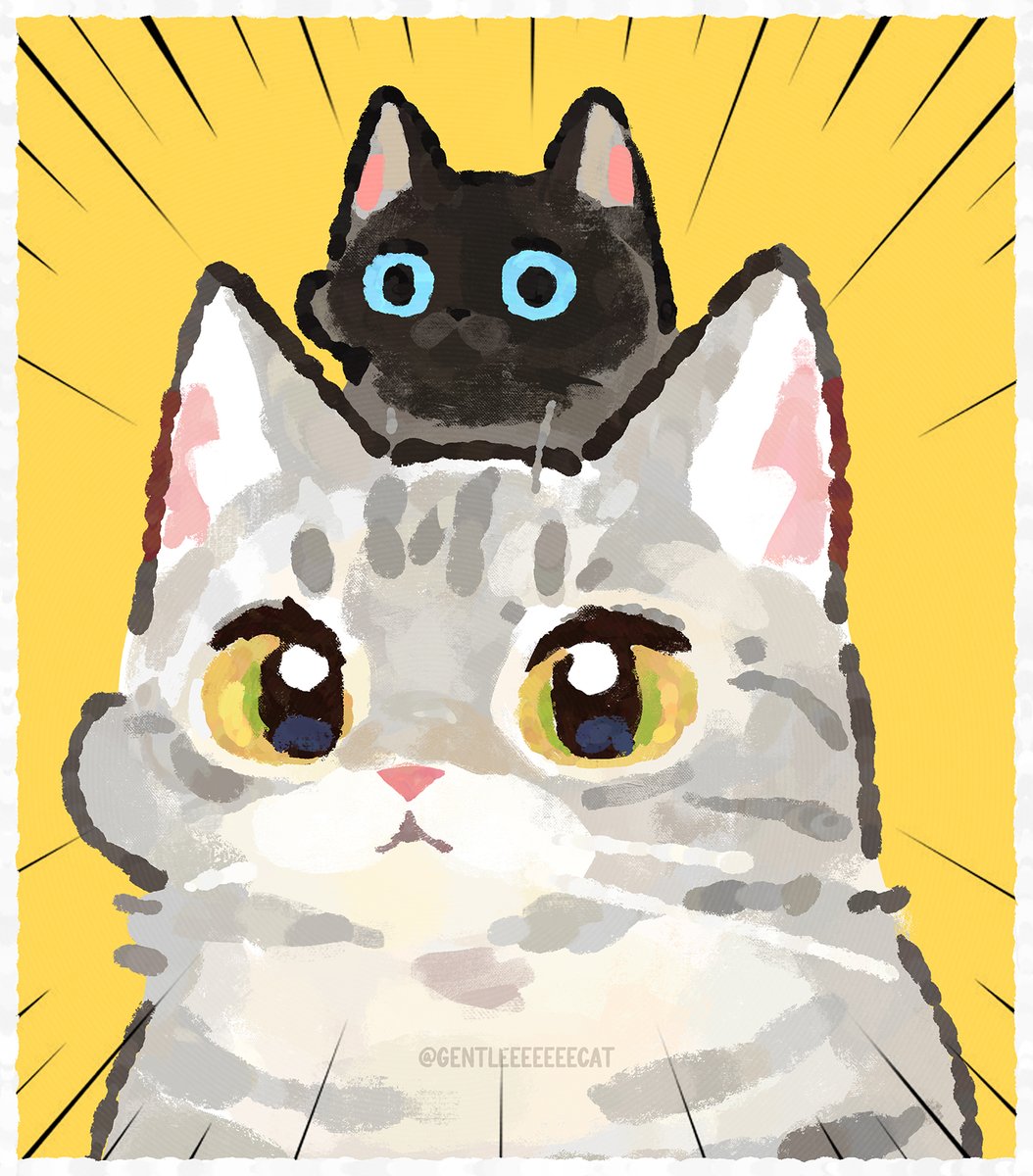 gentleeeeeeecat's tweet image. 