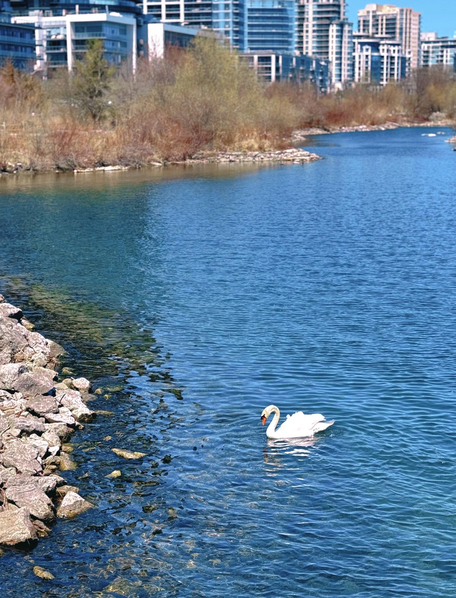 Lake Ontario