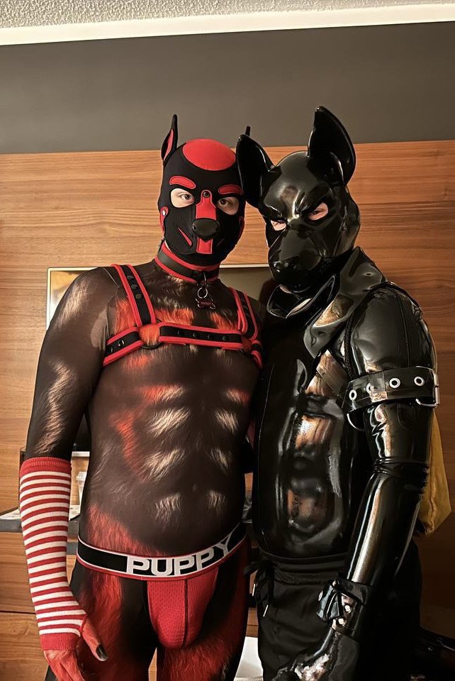 Sollux (@solluxthepup) on Twitter photo We had such a blast at #FWA2025! And by some miracle I completed my black doggo fit in time for the con lmao
🐶: <a href="/NuggyPup/">Nuggy 🔜 FWA</a> We had such a blast at #FWA2025! And by some miracle I completed my black doggo fit in time for the con lmao
🐶: <a href="/NuggyPup/">Nuggy 🔜 FWA</a>