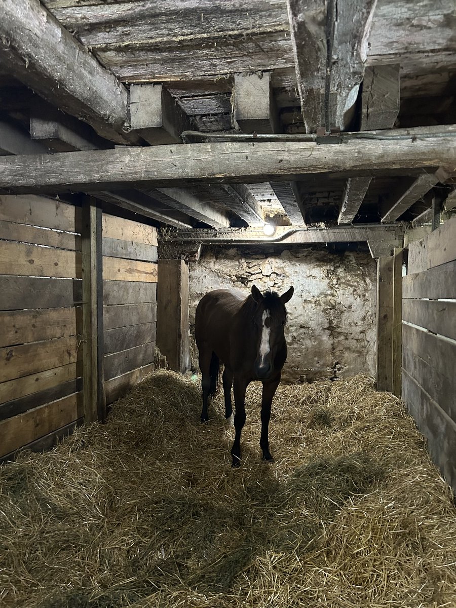 Marcano Racing tweet media