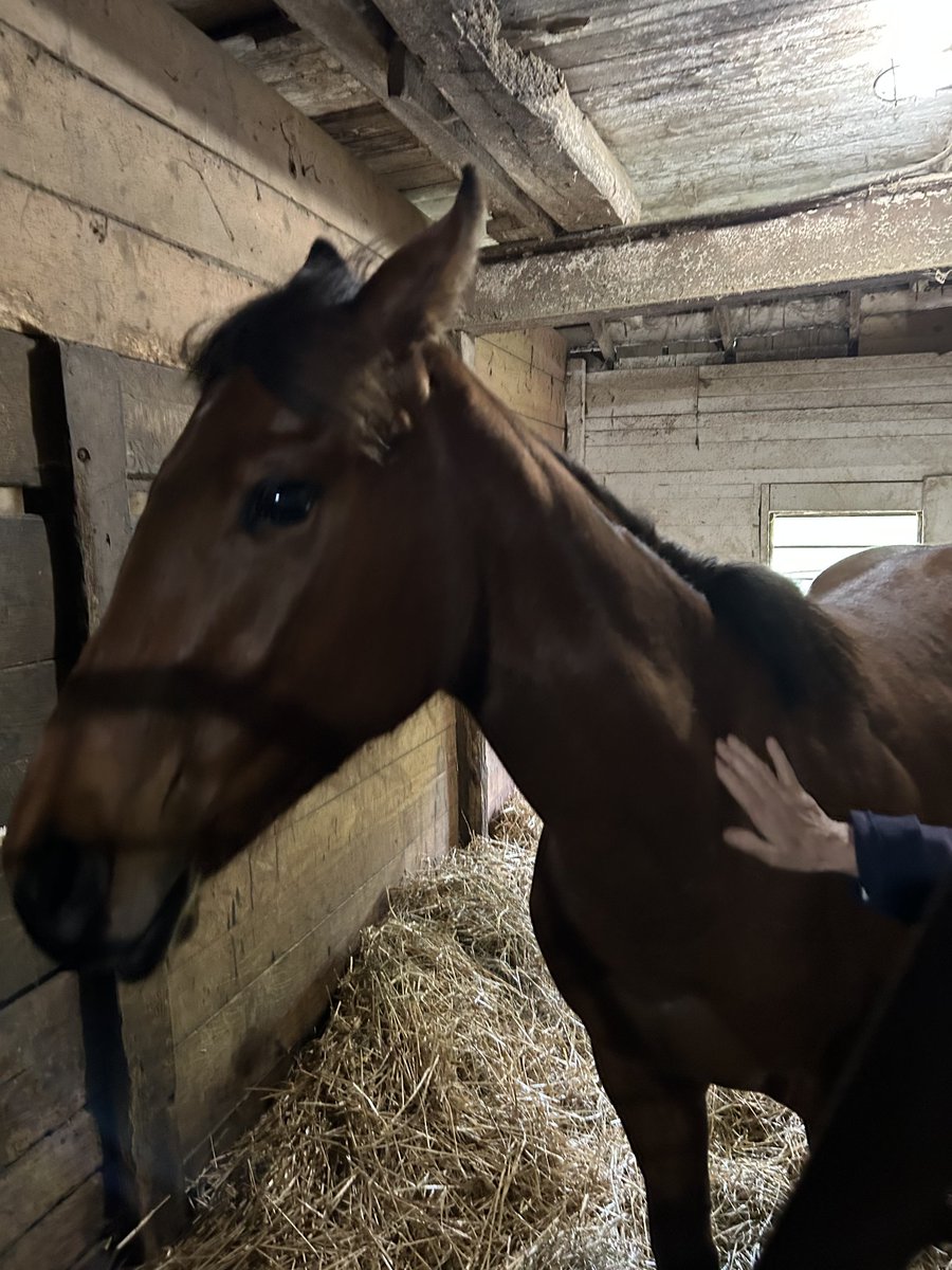 Marcano Racing tweet media