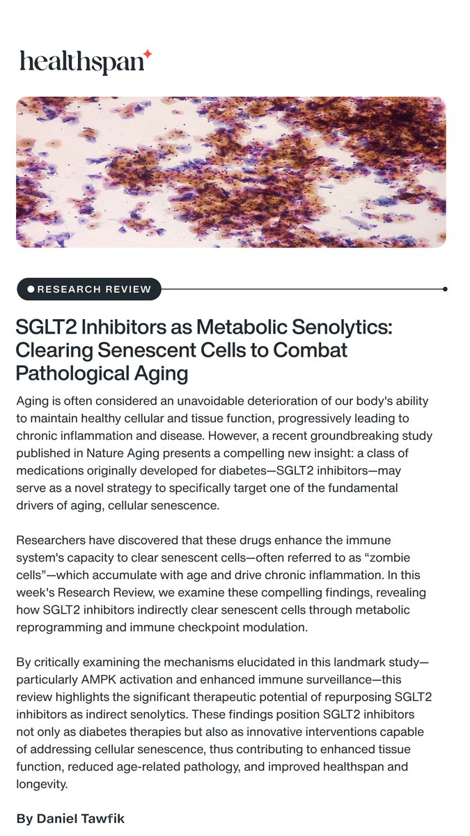 New Research Review: SGLT2 Inhibitors as Metabolic Senolytics: Clearing Senescent Cells to Combat Pathological Aging

gethealthspan.com/science/articl…