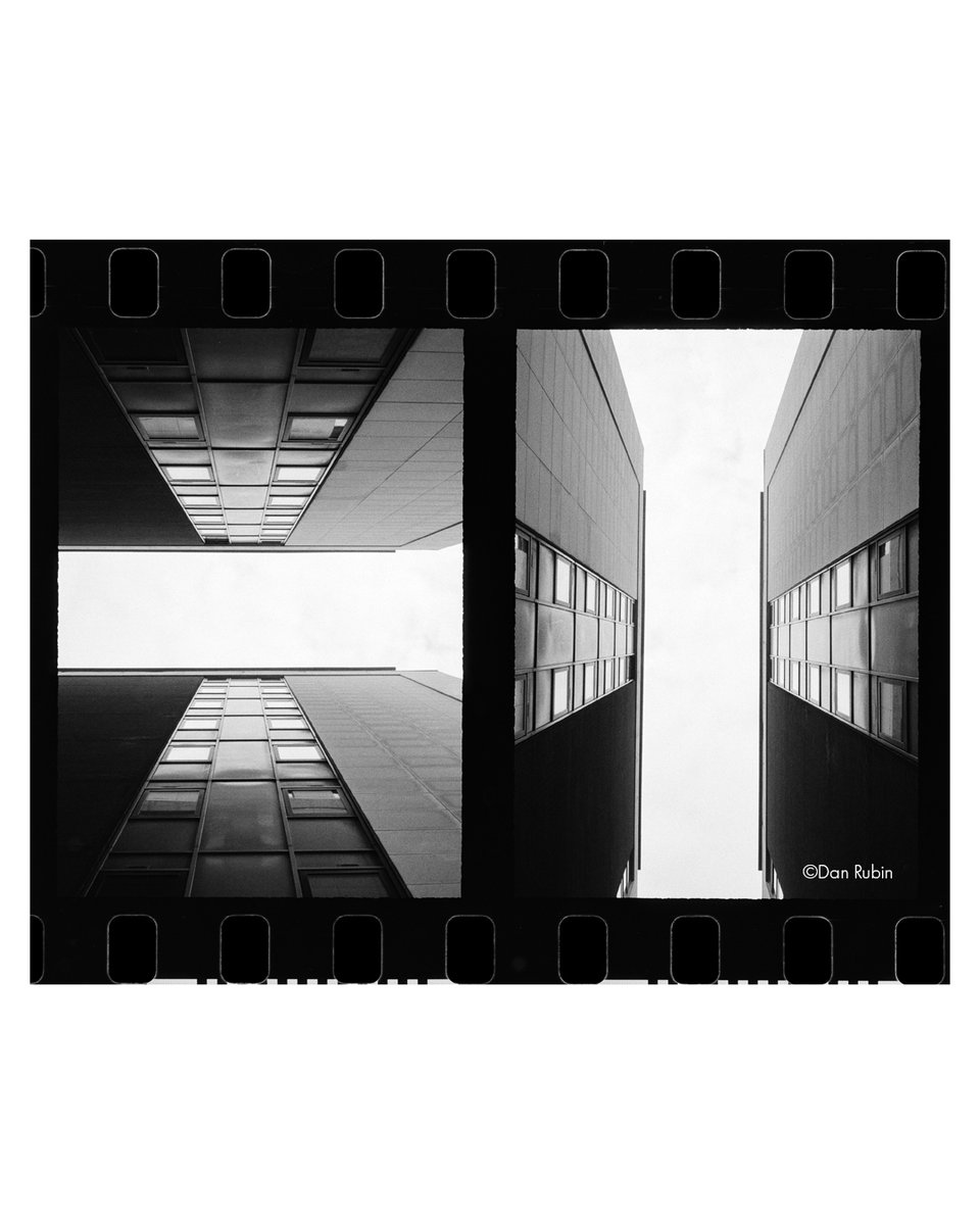 ILFORD PHOTO tweet media