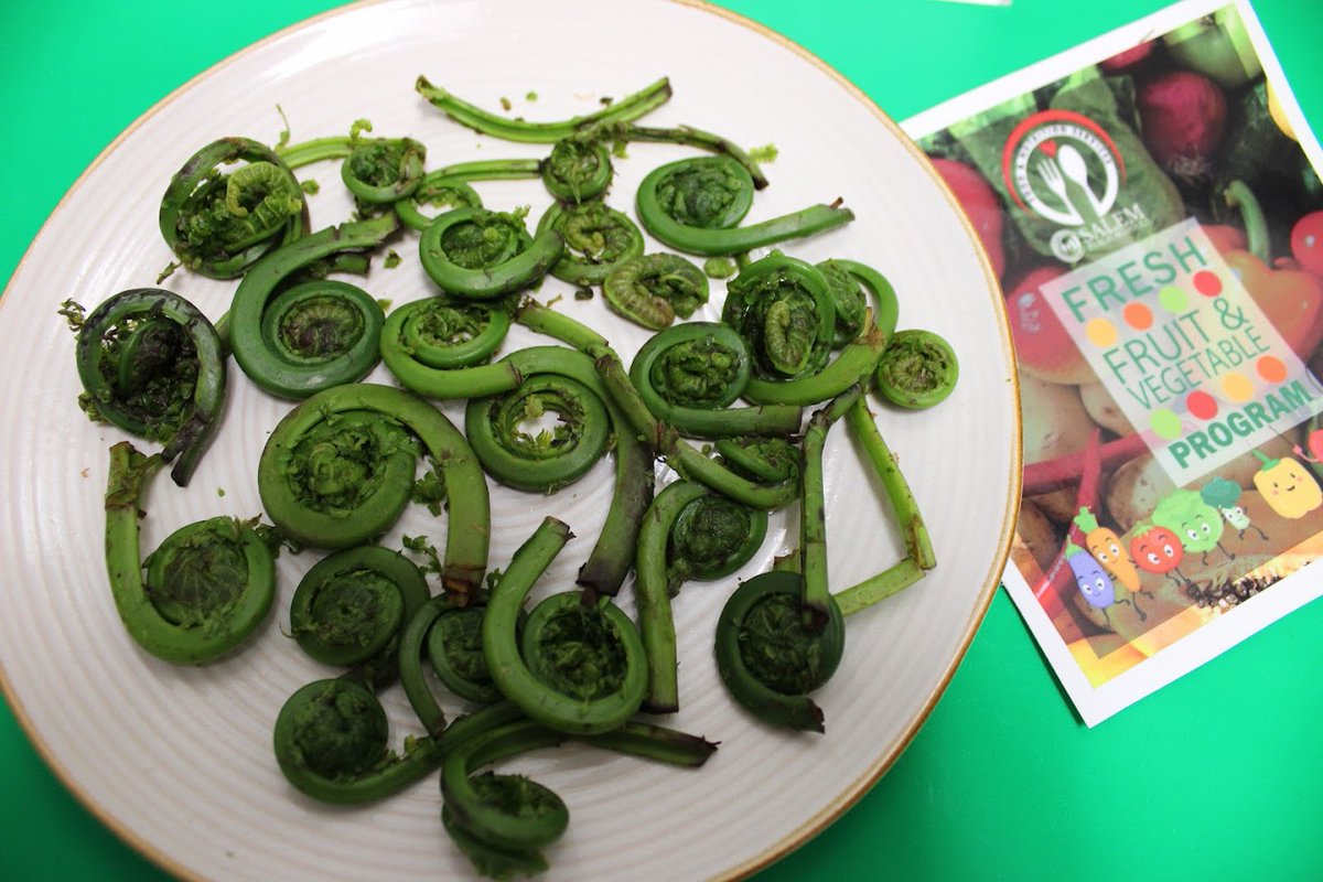 spsfoodservice's tweet photo. iddleheads arrived yesterday - delivered by New Entry Sustainable Farms! This Friday (5/16), students across the district will have the chance to try these unique, hyper-local greens. #ffvp #farmtoschool https://t.co/VGeK1H8ViZ