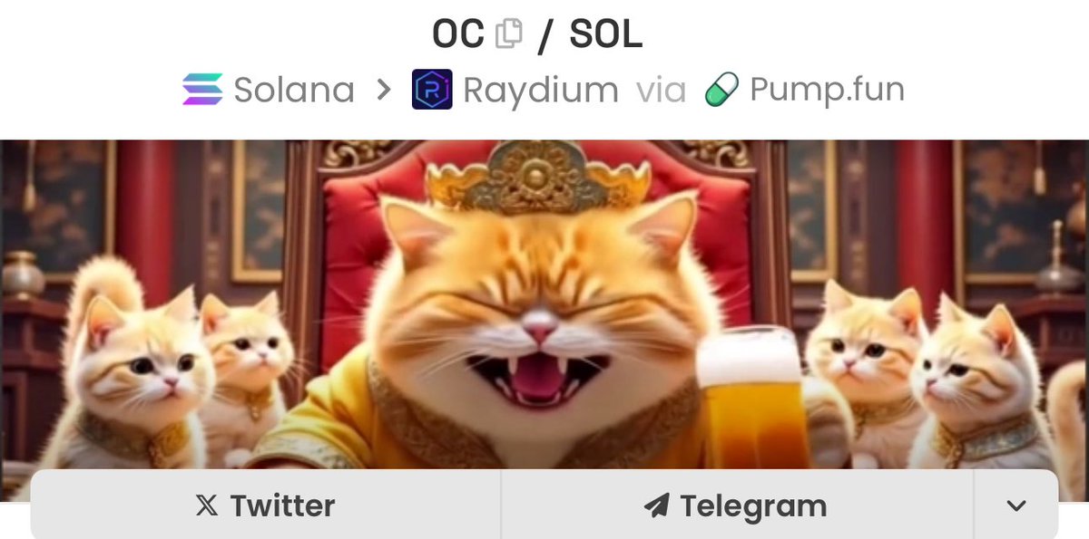 Dohko 🐉 tweet media
