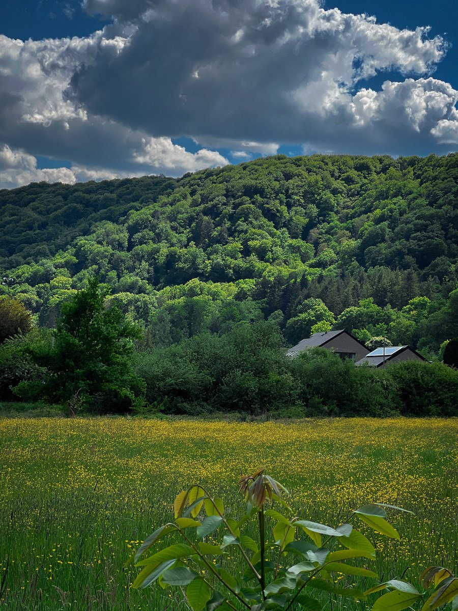 Nature heals
