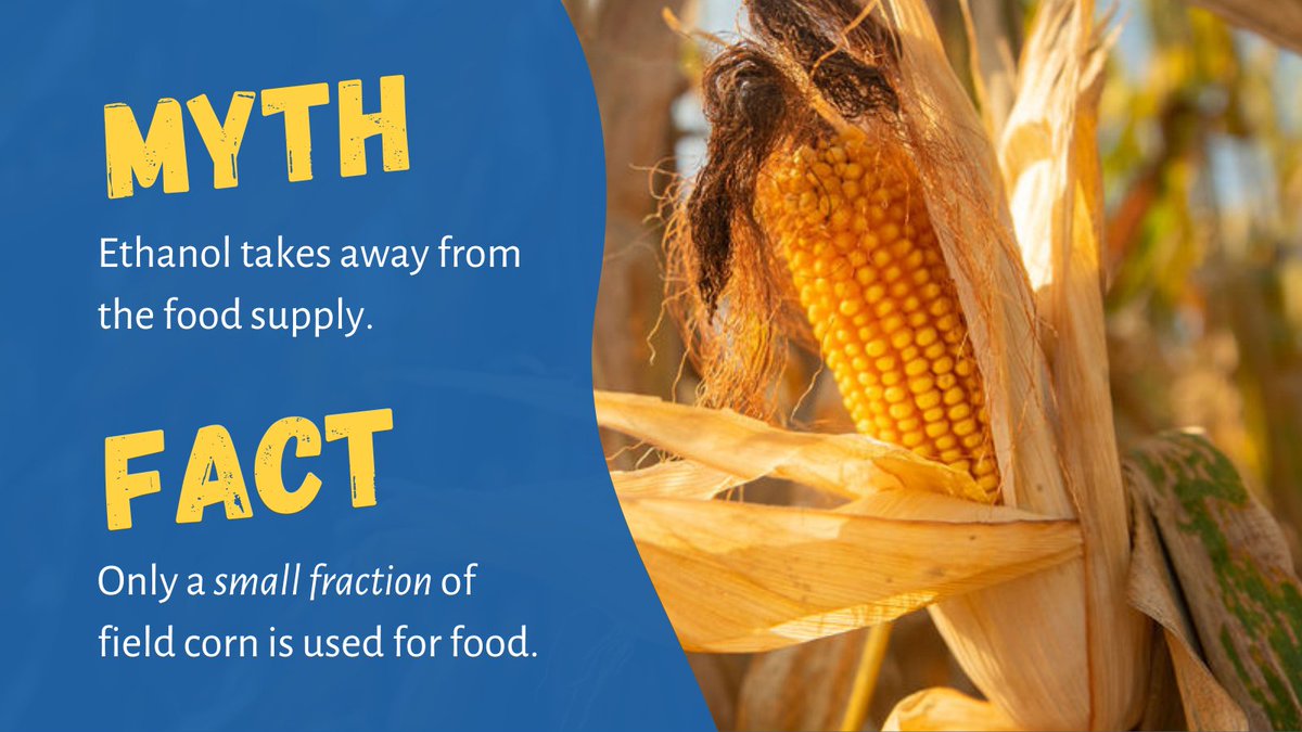 fueledbycorn's tweet photo. LET’S BUST THIS MYTH ❌🌽
Have you ever heard someone say #ethanol takes away from our food supply? Most field corn is used for livestock feed, exports, or being used in everyday products, like cosmetics 💄, batteries 🔋 and hand soap 🧼. https://t.co/u5FUzIx7OD