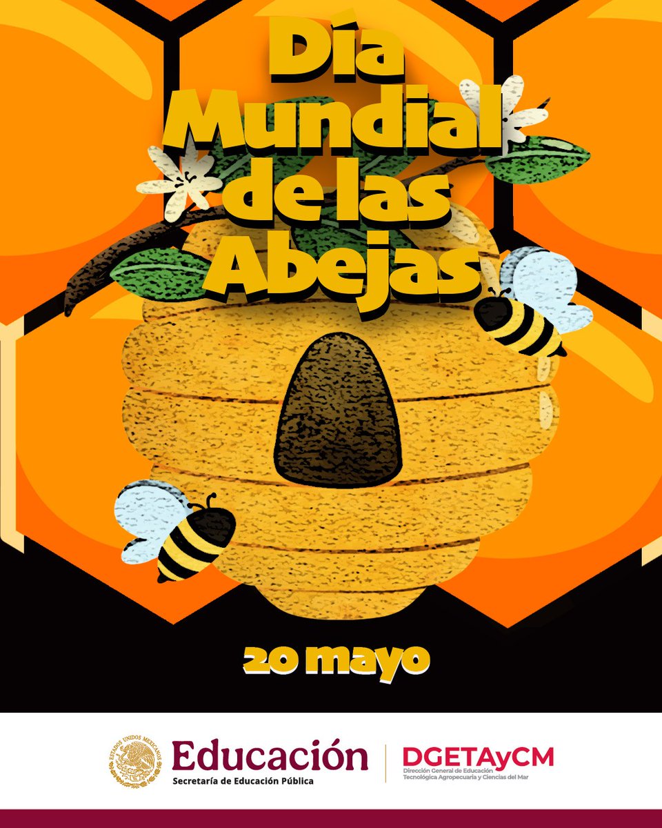 DGETAyCMOFICIAL's tweet photo. 🐝 Sin abejas, no hay futuro 🌻
Hoy más que nunca, necesitamos protegerlas: planta flores nativas, evita pesticidas y difunde su importancia.
¡Sé parte del cambio!
#SalvemosLasAbejas #DíaMundialDeLasAbejas #AcciónPorLaNaturaleza https://t.co/VCeHlXrEuQ