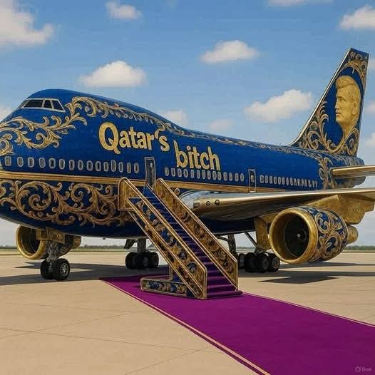 AbsolutDM's tweet image. 