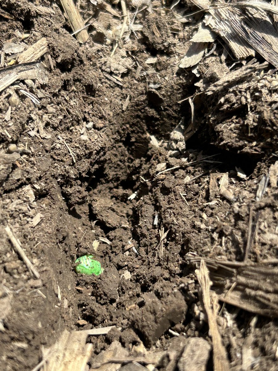 Garrett Kennedy tweet media