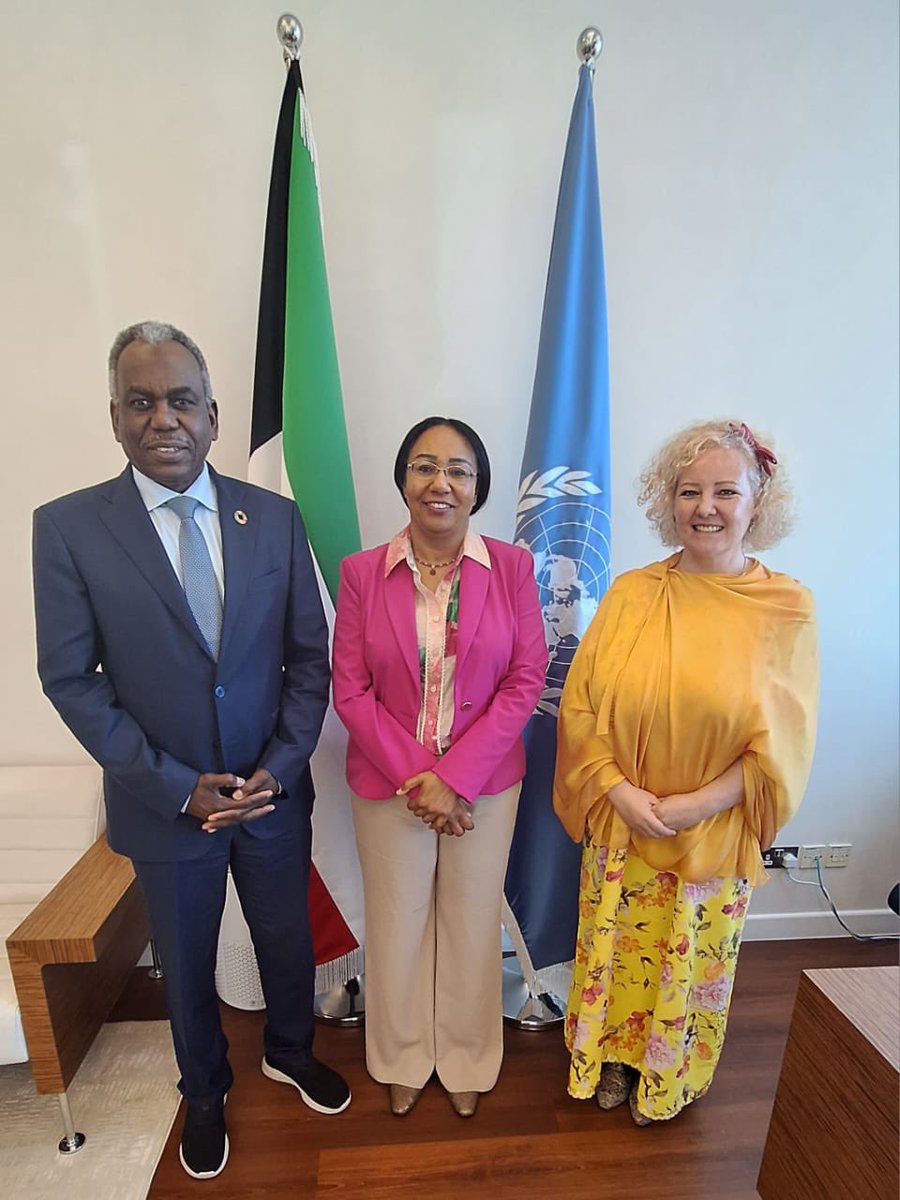 🇩🇯🤝🇰🇼 UNICEF is strengthening its partnerships in the Gulf to mobilize influence and resources for children in Djibouti.

Key meetings held in #Kuwait with KFAED, the Ministry of Foreign Affairs, the Arab Fund, and WAMY.

Goal: sustainable results #ForEveryChild 💙