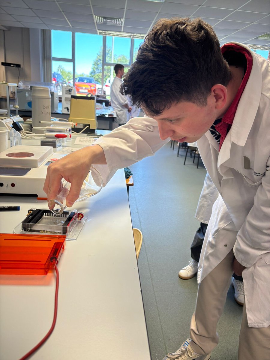 DrMicrobiome's tweet image. Training Biology teachers from across NI key molecular biology skills with @theBentoLab that they can transfer back to the classroom. Many thanks to @atky33 @RachelleIrwin15 for invaluable help @UlsterUniBiomed.