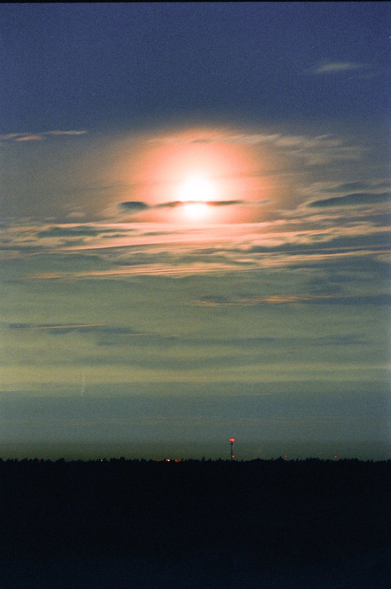 AeroHydroZephyr's tweet image. Nikon F5
Kodak vision3 500T