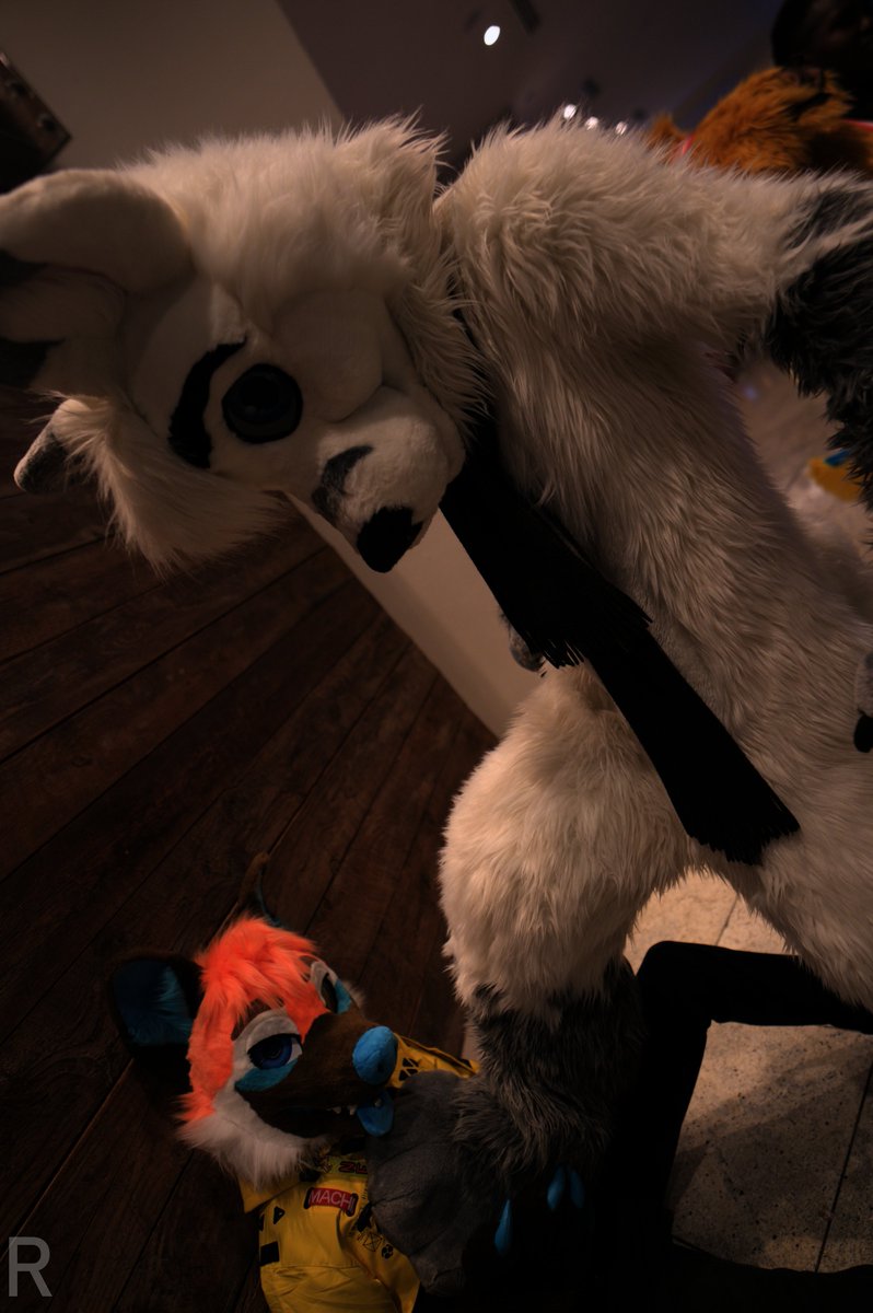 fops are meanies
meanie : <a href="/SnowieVixenFox/">Snowie 🐾</a>
📷 : <a href="/RolandPaws/">🌸🌺Roland 🌺🌸</a>