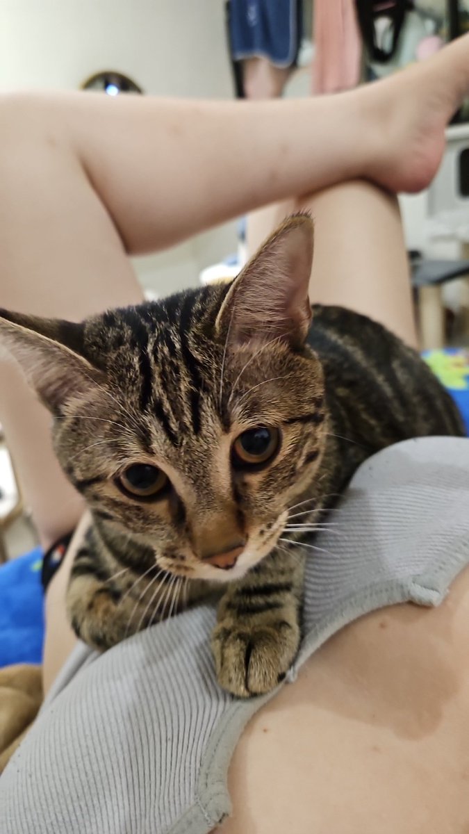 昨天做夢夢到我那個已經過世的前男友。
夢其實滿日常的，祂講得幹話也差不多，最有感覺的大概是祂跟我說

「這次我不會再把你丟下」

笨蛋死了還是笨蛋，你死了之後就是把我丟下了啊
死也快滿一年了，原本以為我放得差不多了，結果做了個夢我又覺得我沒進不了