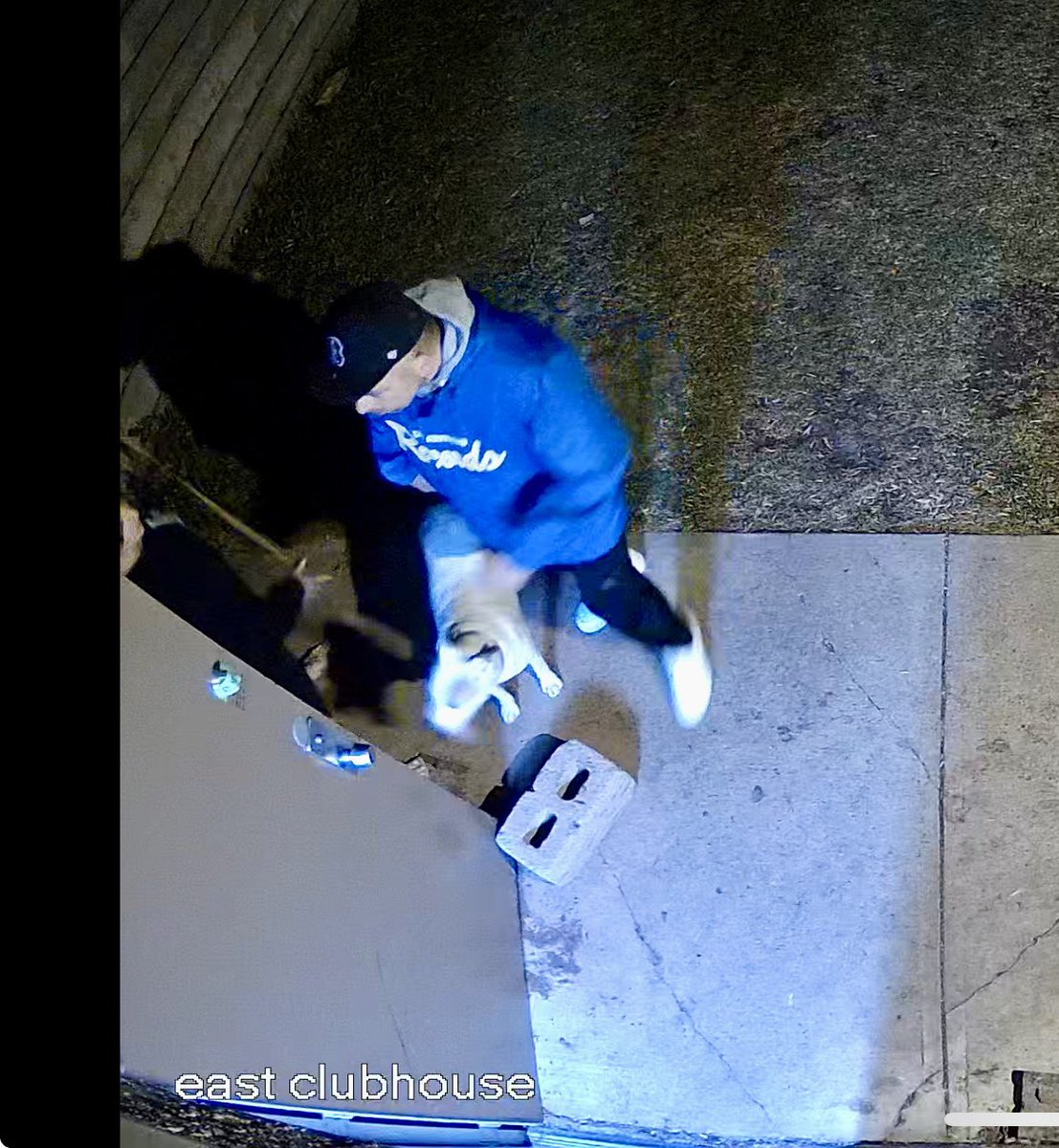 SAMBAPresident's tweet image. Anyone recognize these people or dog? Please message me. SAMBA Clubhouse and field house broken into. @StAlbertBSB