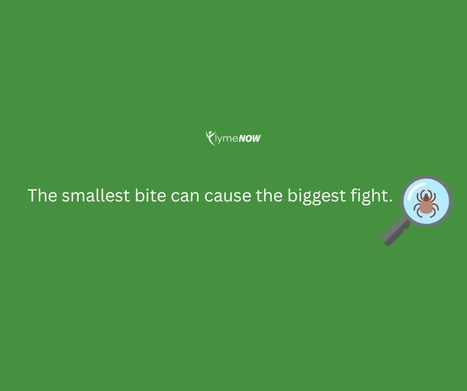 It started with a bite... and turned into a battle

#LymeAwareness #LymeDiseaseAwareness #LymeNow