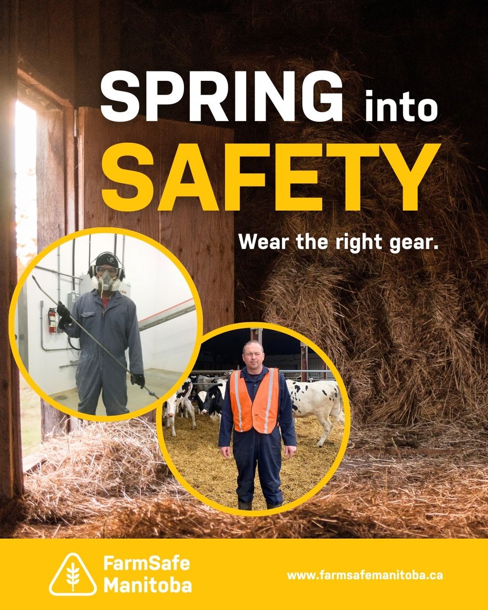 Prioritize your safety and the safety of those around you by wearing the necessary protective equipment for the task at hand. PPE may include helmets, gloves, safety goggles, ear protection, high-visibility clothing &amp; safety footwear.