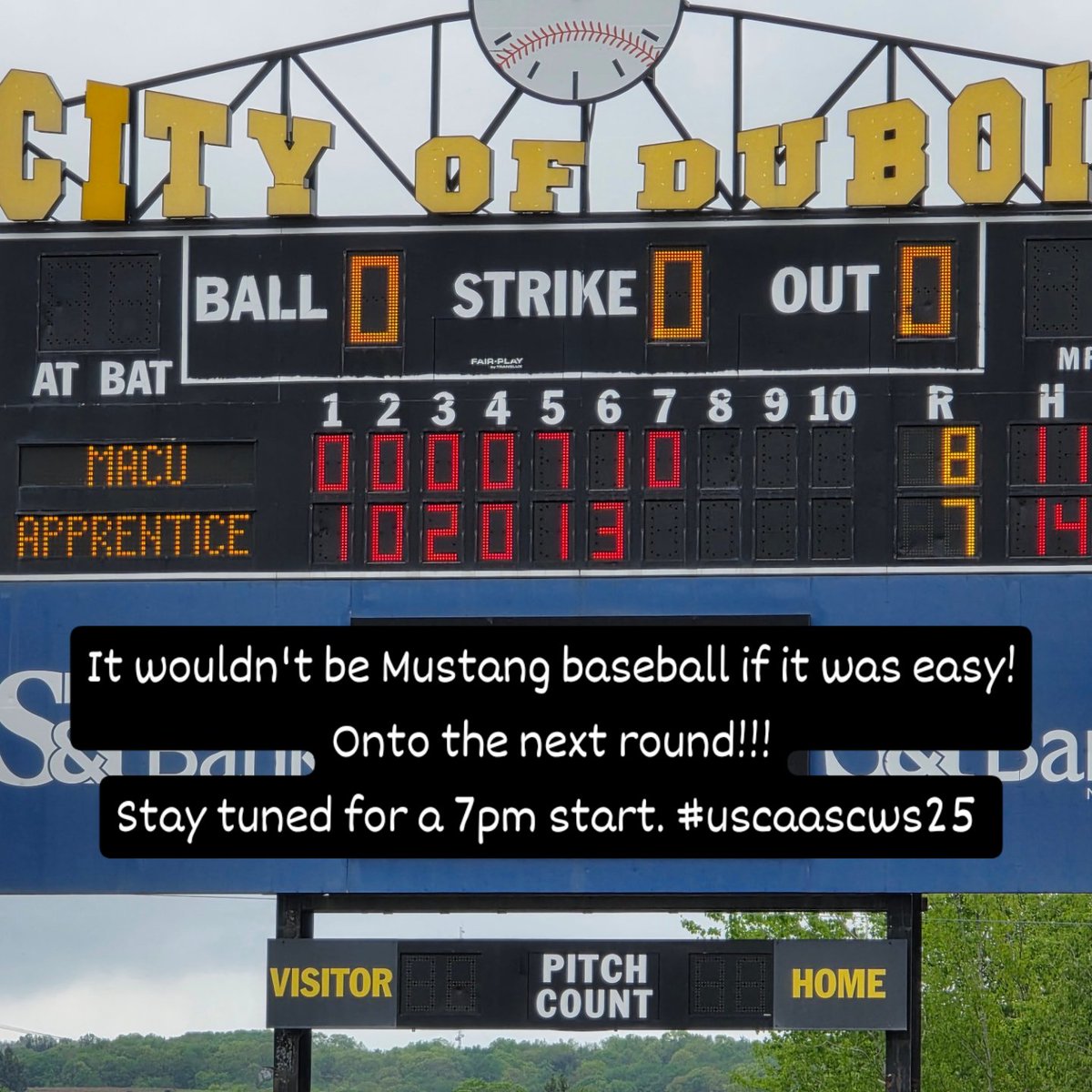 MACU Mustangs (@gomacumustangs) on Twitter photo 