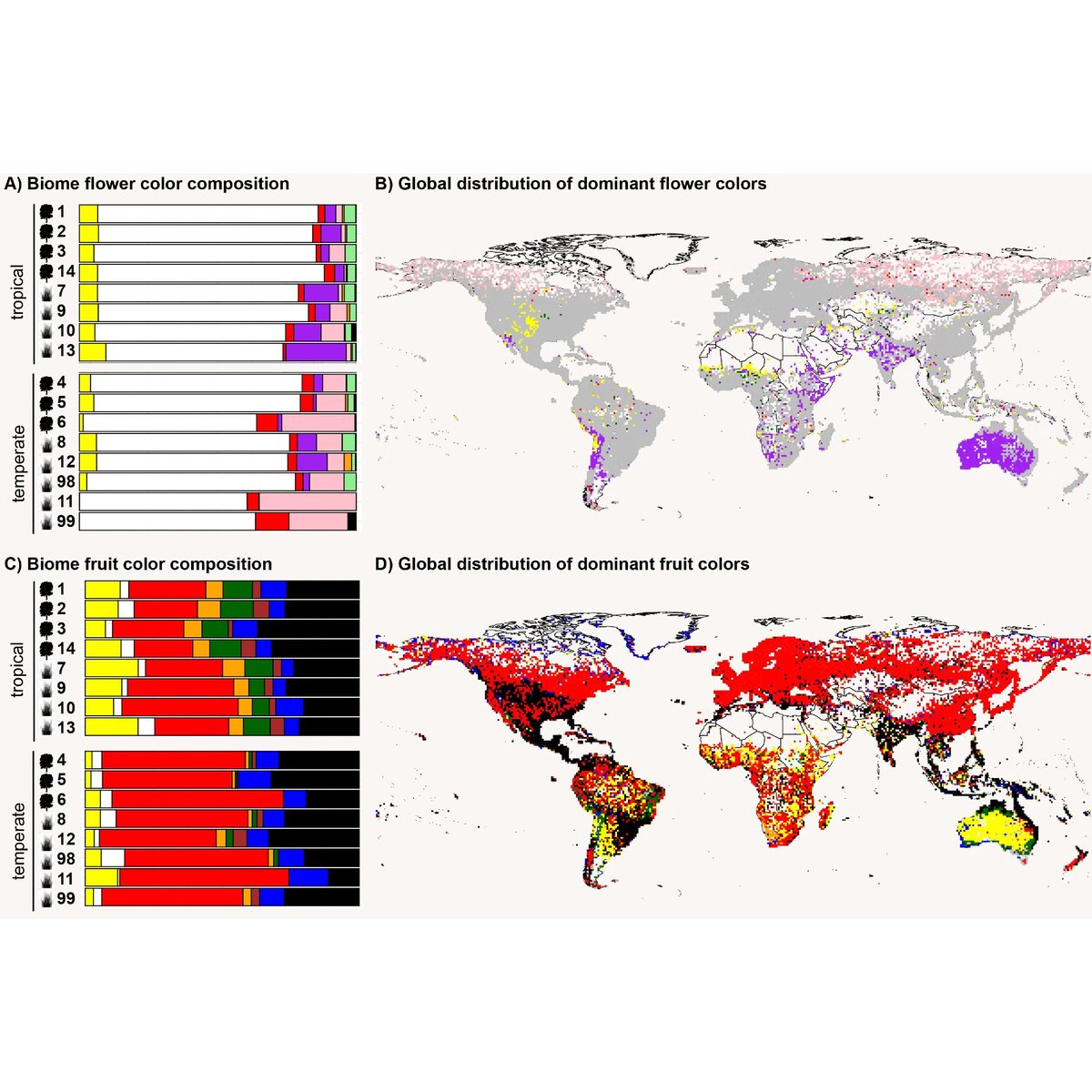 Agnes Dellinger (@the_kunsze) on Twitter photo What started as a student side project became a big scientific endeavor - together with <a href="/iochromaland/">Dr. Stacey D. Smith</a>, Leah Maier and Miranda Sinnott-Armstrong, we show that the global distribution of #flower and #fruit colors is linked to temperature and UV-B - doi.org/10.1002/ajb2.7โฆ What started as a student side project became a big scientific endeavor - together with <a href="/iochromaland/">Dr. Stacey D. Smith</a>, Leah Maier and Miranda Sinnott-Armstrong, we show that the global distribution of #flower and #fruit colors is linked to temperature and UV-B - doi.org/10.1002/ajb2.7โฆ