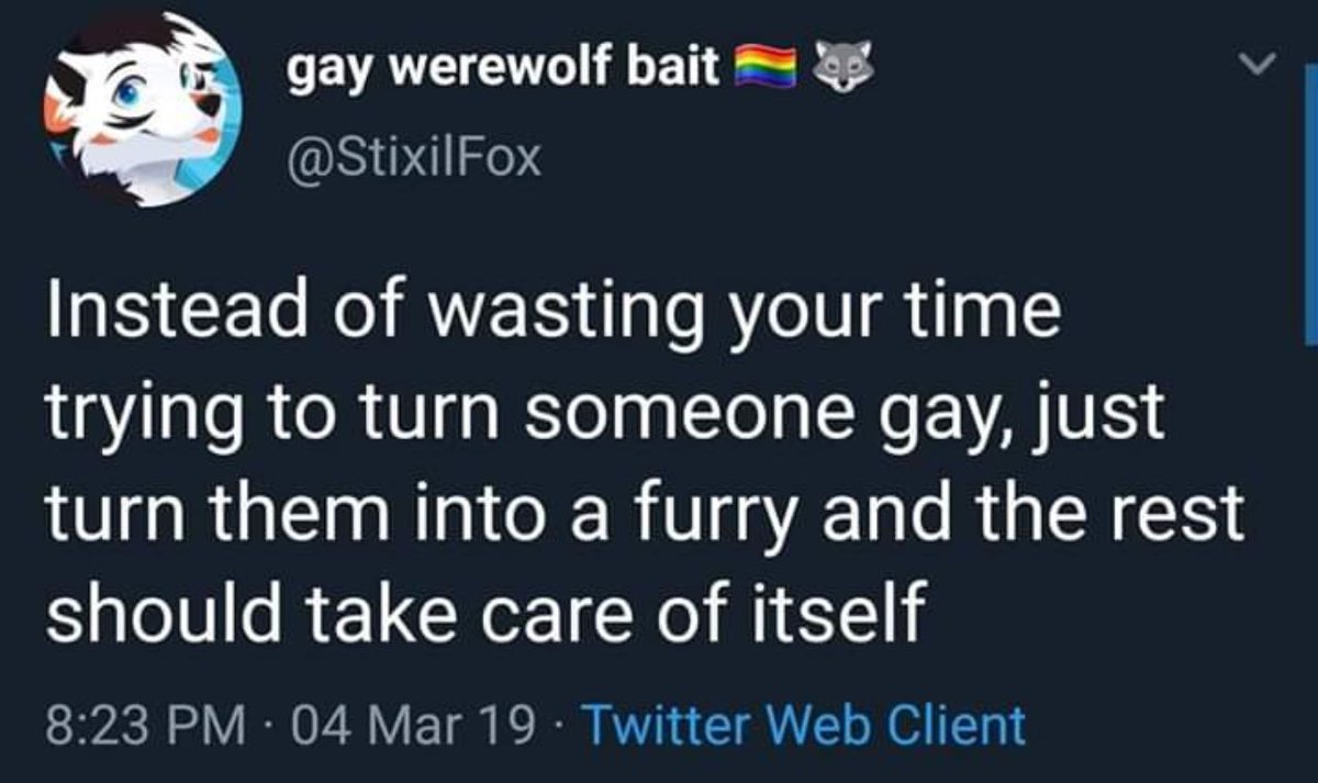 Furry memes (@furrymems) on Twitter photo 
