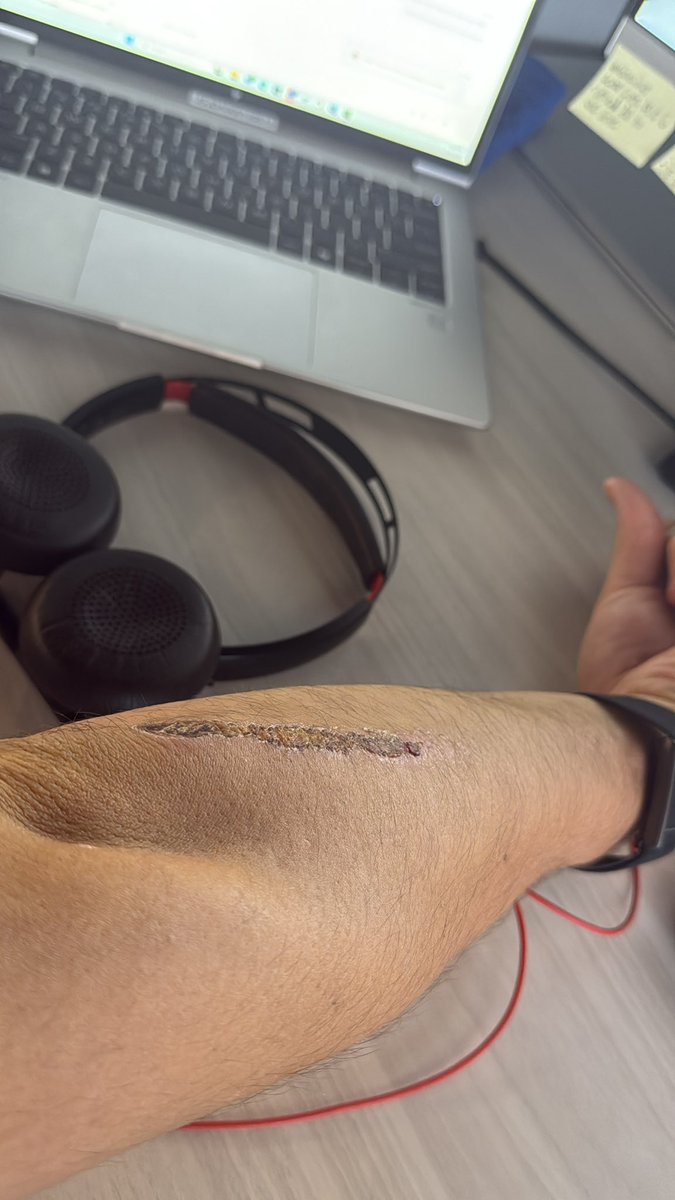 Seymour Bush, MBA tweet media