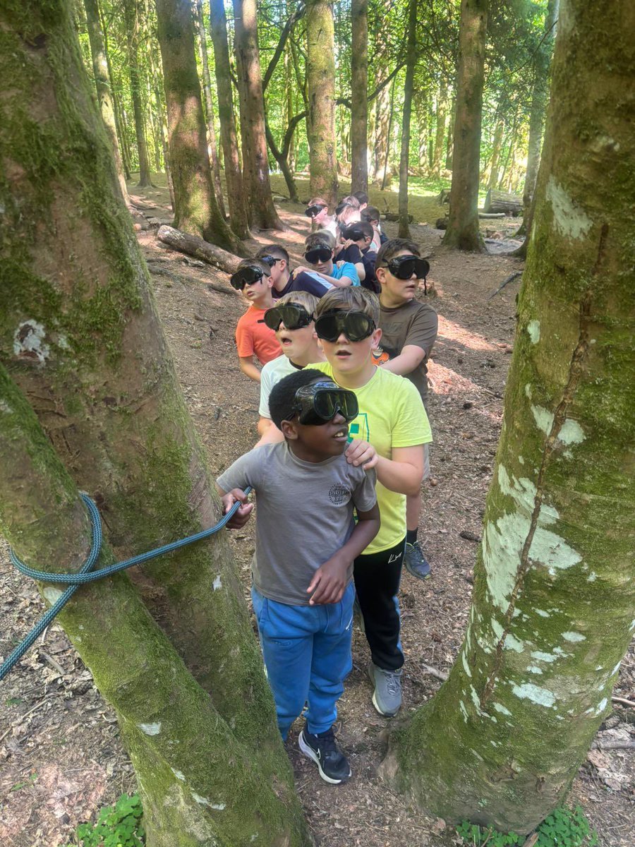 Simpson Primary tweet media