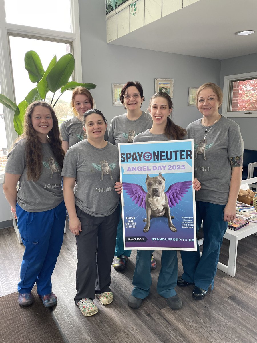 Our national Spay &amp; Neuter Angel Day program continues to sweep the nation. Please consider making a tax deductible donation at the link in our BIO. Supporting this desperately needed work helps save lives for years to come. 

#standupforpits