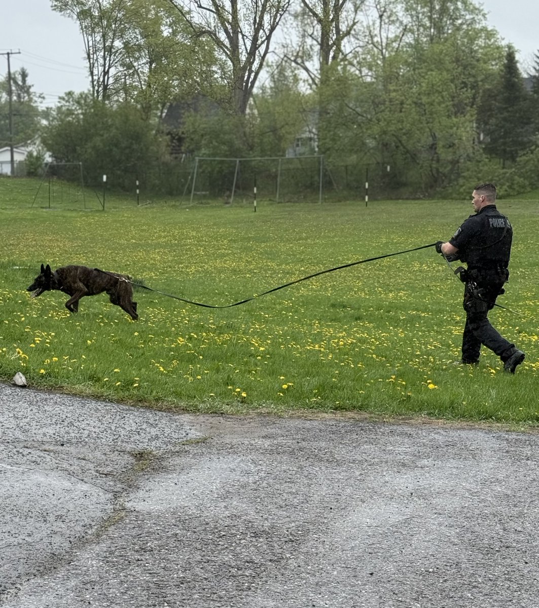 Media Release #2 - Wednesday, May 14, 2025

➡ 18yr-old Ptbo male arrested and charge with robbery with violence X2 after two people injured during robbery at business in Brock Street and Aylmer Street area.
➡ Both victims were taken to Peterborough Regional Health Centre for