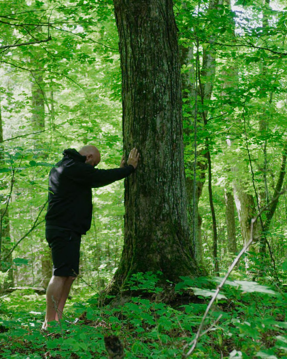 Reset your nervous system this May Long Weekend.
Breathe deeper, sleep better, and return home transformed.
📅 May 16–19 
✨ Use code MAYLONG25 for 25% off your third night.