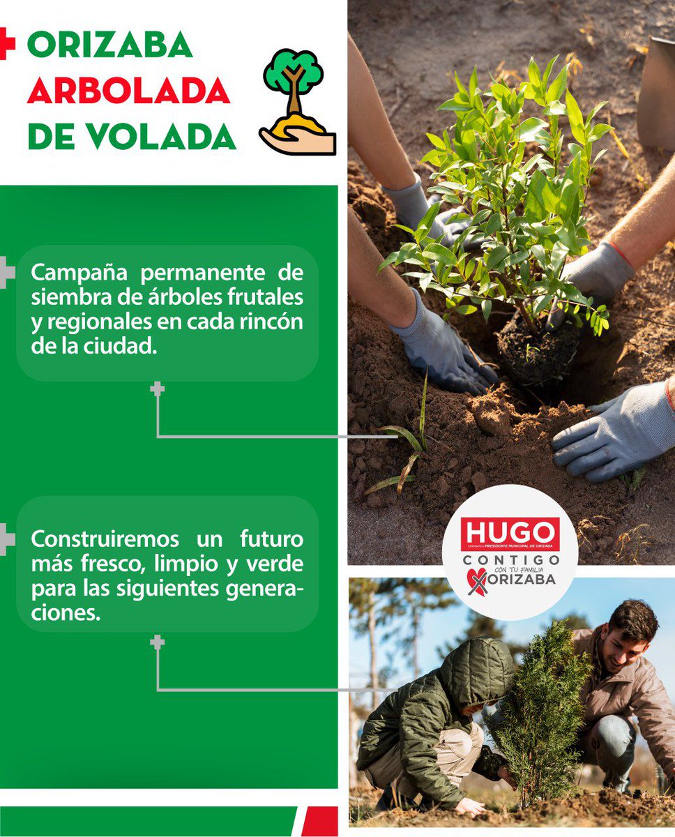 Con mi propuesta "Orizaba arbolada de volada", construiremos un futuro más verde para todos.

#HugoCONTIGO #Hugocontufamilia #HugoxOrizaba