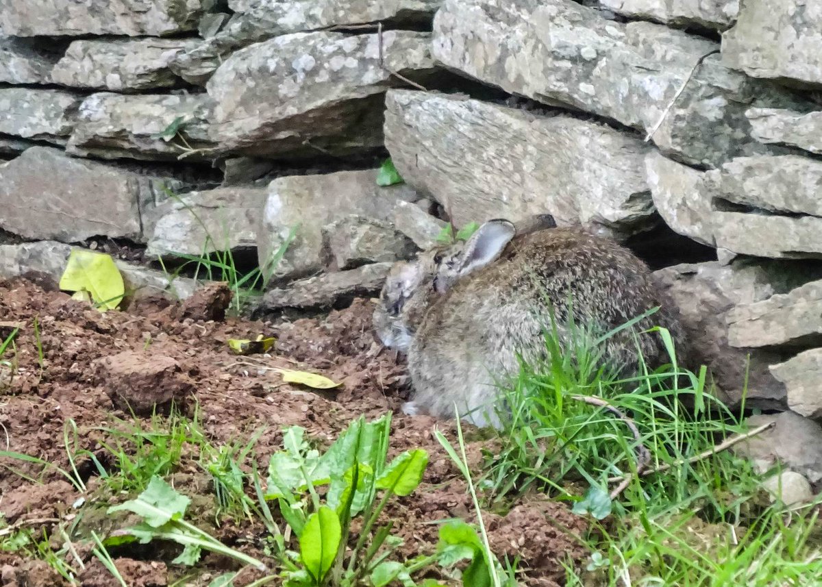 Eddie Bairstow tweet media