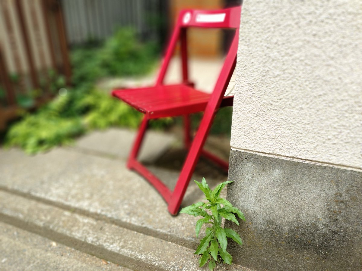 おはようございます！本当にいい季節ですね。ちょっと一気に暑くなってきてはいますが。このいい時期に、先日訪れた青梅の森にまた行ってみたいですね。
#赤い椅子プロジェクト #吉祥寺 #中道通り