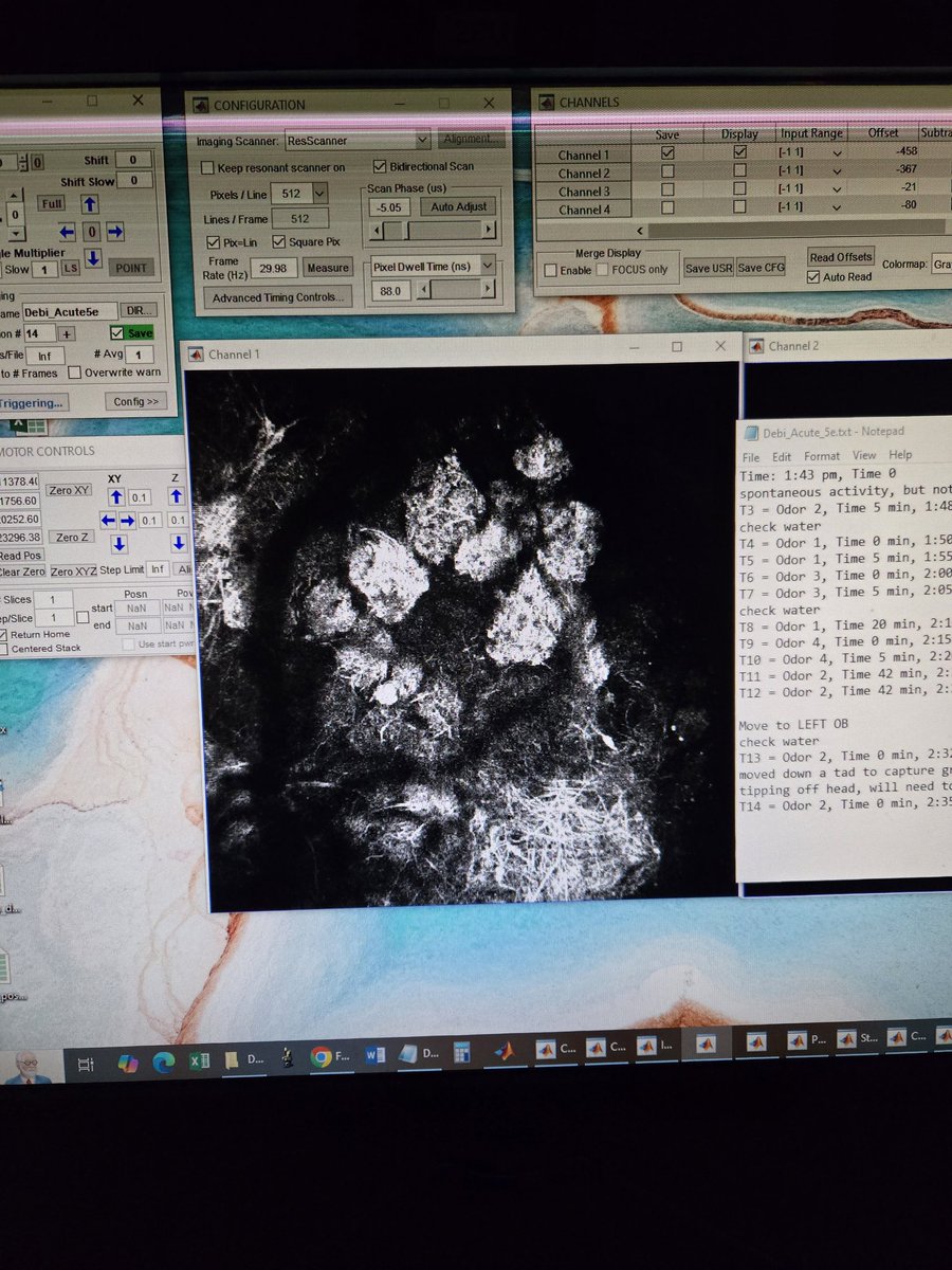 Debra Ann Fadool tweet media