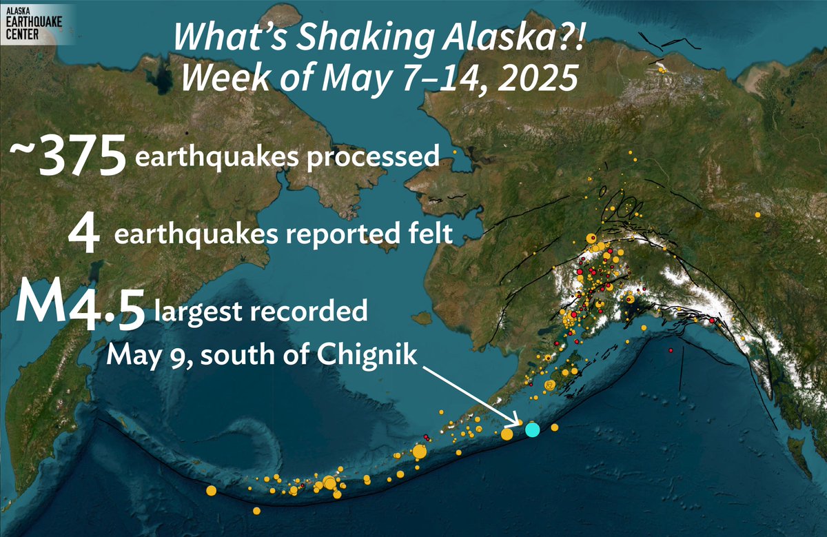 What’s Shaking Alaska?! Welcome to your weekly seismic update from across the state, brought to you by the Alaska Earthquake Center. Over the past week, we recorded about 375 earthquakes, with 4 of them reported as felt. The largest was a magnitude 4.5 southeast of Chignik on May