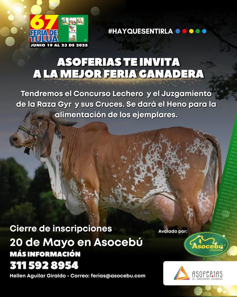 Alvaro Escobar G. (@alvaroescobarg) on Twitter photo 